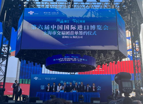 放眼世界，只有中國可以辦進博會這樣的展會——從丁一凡觀點看軟件代理服務的機遇與前景